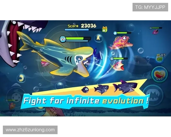 尊龙棋牌官方网址官方登录入口，享受最优质的游戏体验