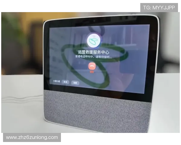 尊龙手机官网安全保障措施，保障玩家账号信息与资金安全的全面解决方案